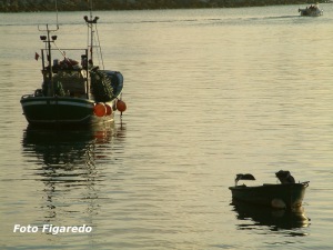 Barcos pesqueros de bajura. Foto Figaredo, Gijón